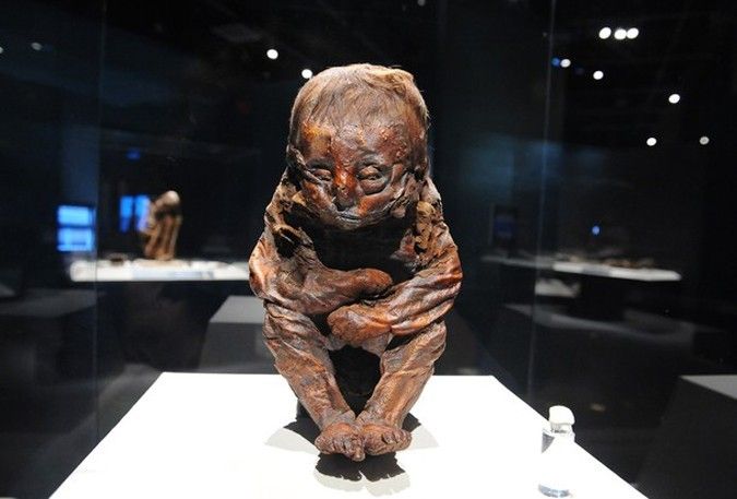 Mummies of the world at an exhibition in a research center in Los Angeles - 11