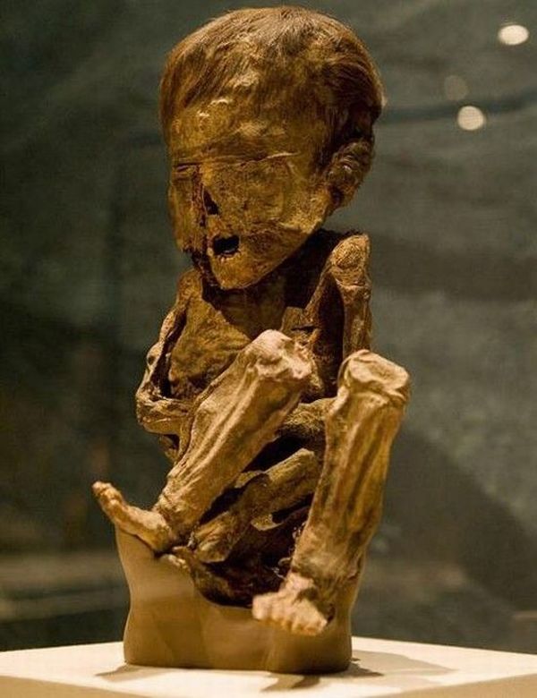 Mummies of the world at an exhibition in a research center in Los Angeles - 14