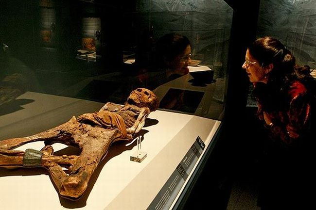 Mummies of the world at an exhibition in a research center in Los Angeles - 16