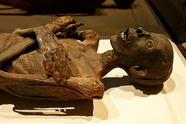 Mummies of the world at an exhibition in a research center in Los Angeles - 17