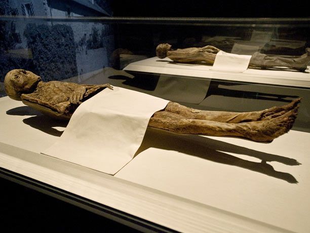 Mummies of the world at an exhibition in a research center in Los Angeles - 23