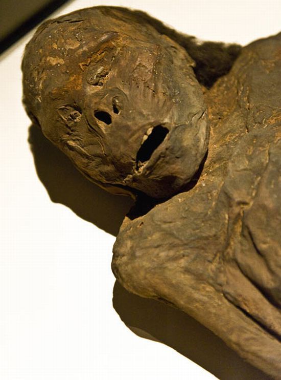Mummies of the world at an exhibition in a research center in Los Angeles - 24