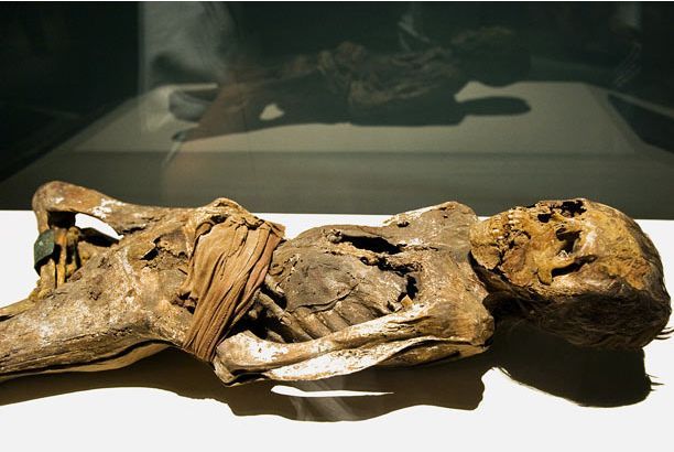 Mummies of the world at an exhibition in a research center in Los Angeles - 25