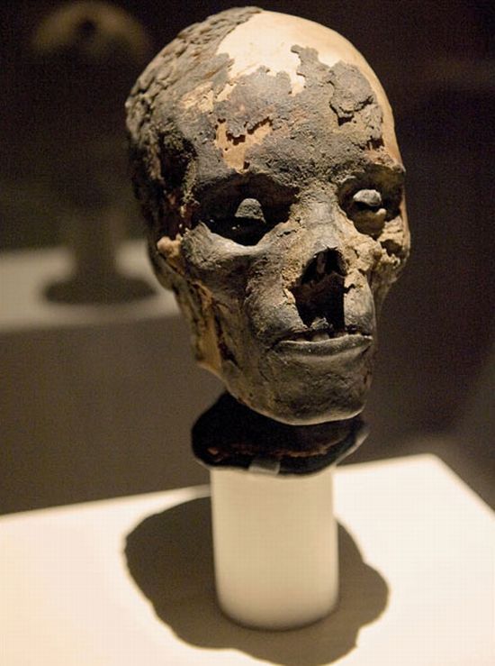 Mummies of the world at an exhibition in a research center in Los Angeles - 27