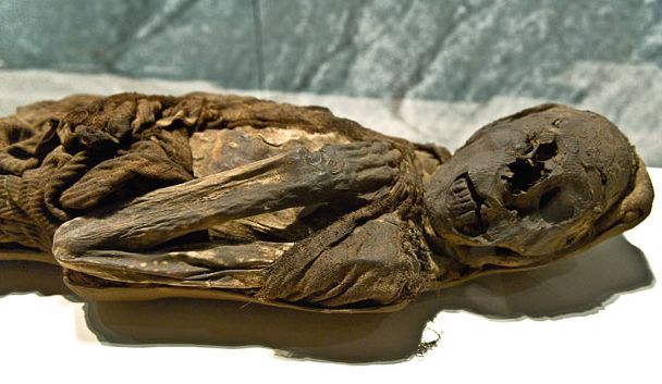 Mummies of the world at an exhibition in a research center in Los Angeles - 28