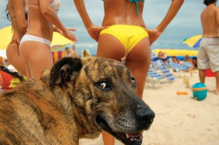 Daily erotic picdump (128 pics)
