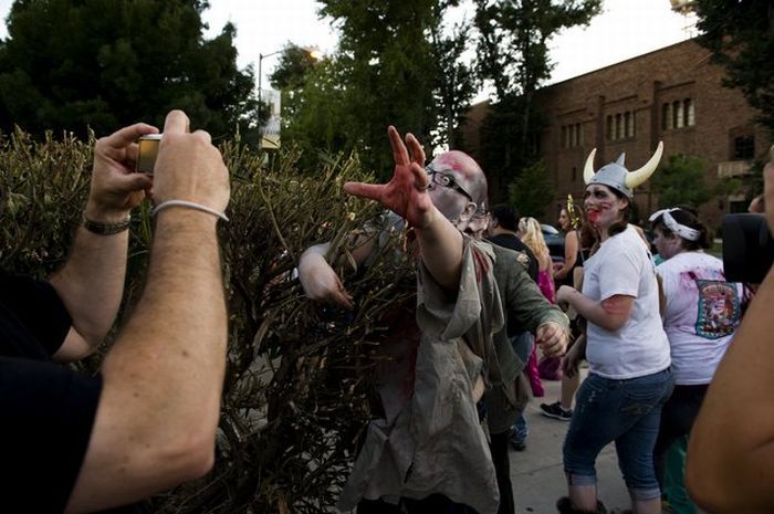 Zombies invasion in Sacramento - 12