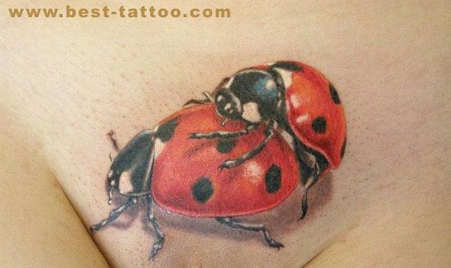 Spicy tattoos in intimate places - 18