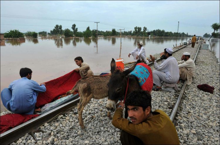 Horrible flood in Pakistan - 33