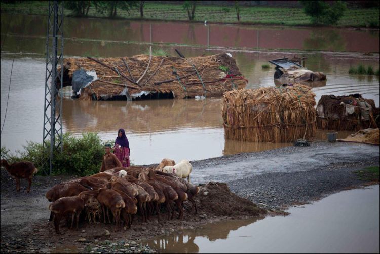 Horrible flood in Pakistan - 36