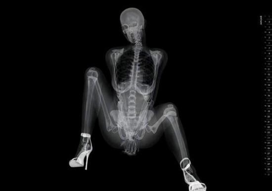Unique pin-up calendar with x-rayed photos of models - 12