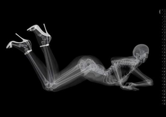 Unique pin-up calendar with x-rayed photos of models - 9