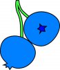 blueberry62